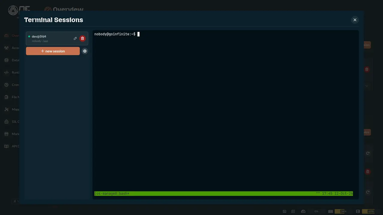 Infinite OS demo: running OpenCode in the web terminal, installing WordPress and managing files and databases